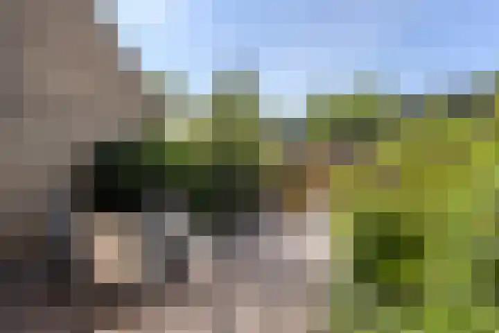 Punterdiep 84 Zwolle thumbnail 13