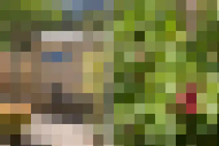 Punterdiep 84 Zwolle thumbnail 14