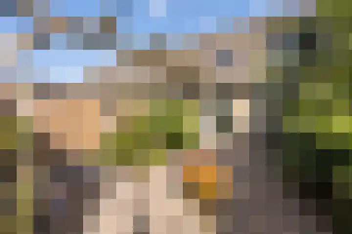 Punterdiep 84 Zwolle thumbnail 15