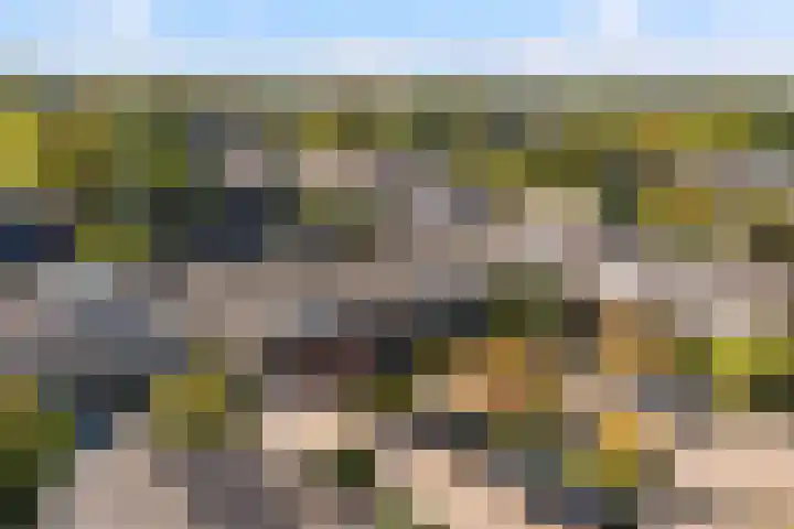 Punterdiep 84 Zwolle thumbnail 28