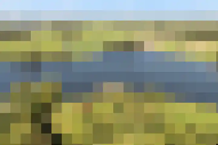 Punterdiep 84 Zwolle thumbnail 30
