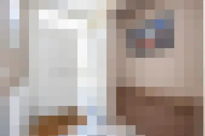 Punterdiep 84 Zwolle thumbnail 6