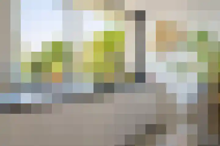 Punterdiep 87 Zwolle thumbnail 10
