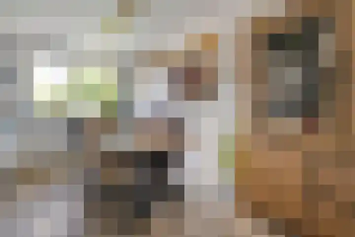 Punterdiep 87 Zwolle thumbnail 12