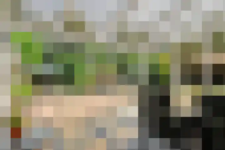 Punterdiep 87 Zwolle thumbnail 13