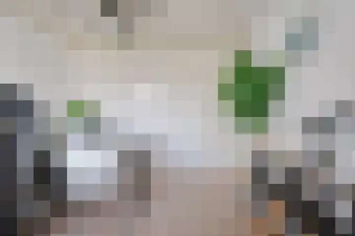 Punterdiep 87 Zwolle thumbnail 17
