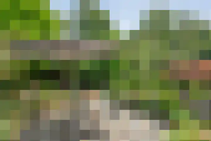 Punterdiep 87 Zwolle thumbnail 28