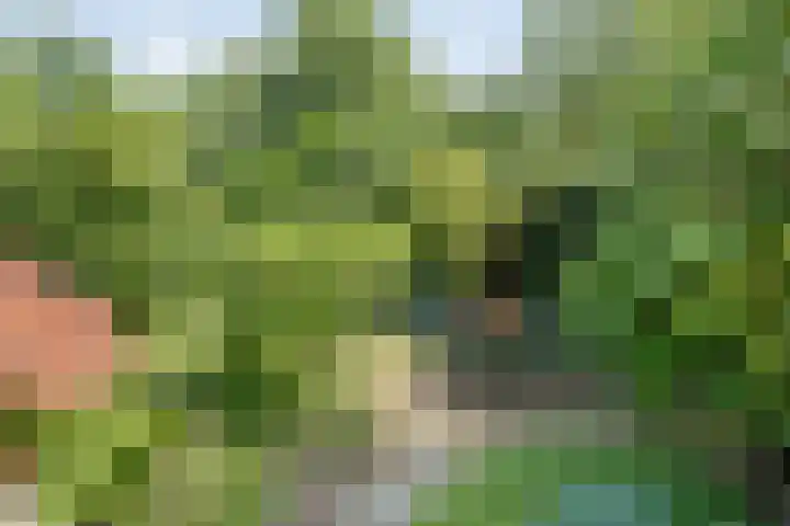 Punterdiep 87 Zwolle thumbnail 29