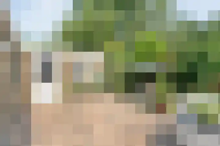 Punterdiep 87 Zwolle thumbnail 30