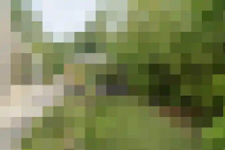 Punterdiep 87 Zwolle thumbnail 31