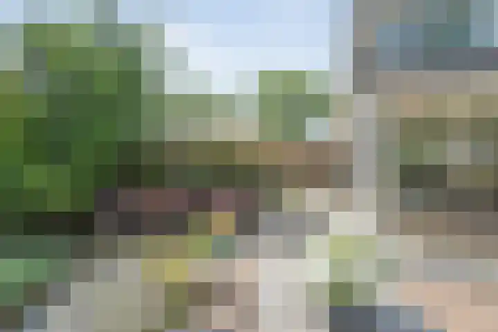 Punterdiep 87 Zwolle thumbnail 32