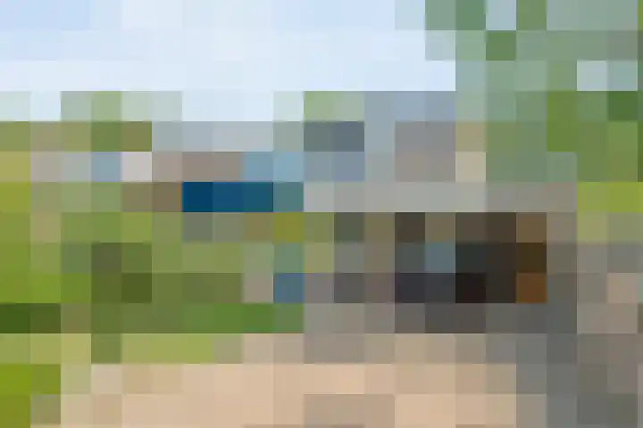 Punterdiep 87 Zwolle thumbnail 35
