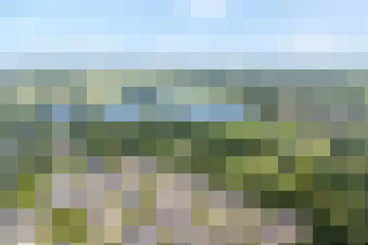 Punterdiep 87 Zwolle thumbnail 38