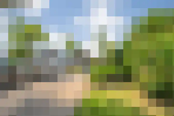 Punterdiep 87 Zwolle thumbnail 4