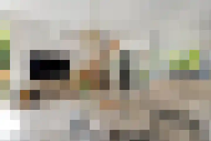 Punterdiep 87 Zwolle thumbnail 8