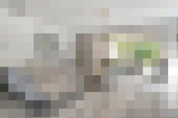 Punterdiep 87 Zwolle thumbnail 9