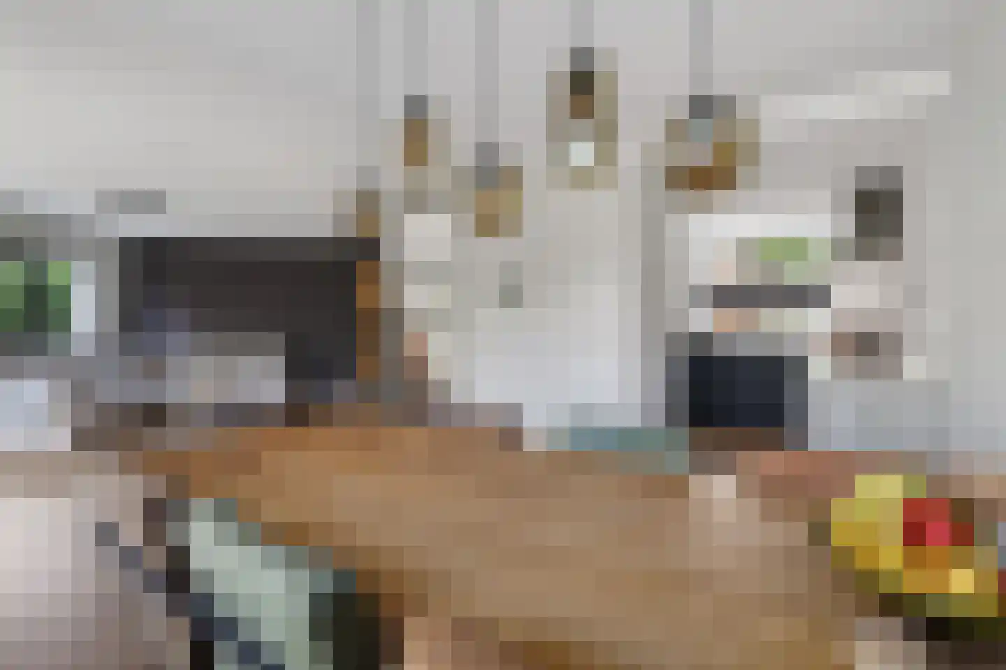 Punterhof 28 Lisse thumbnail 11