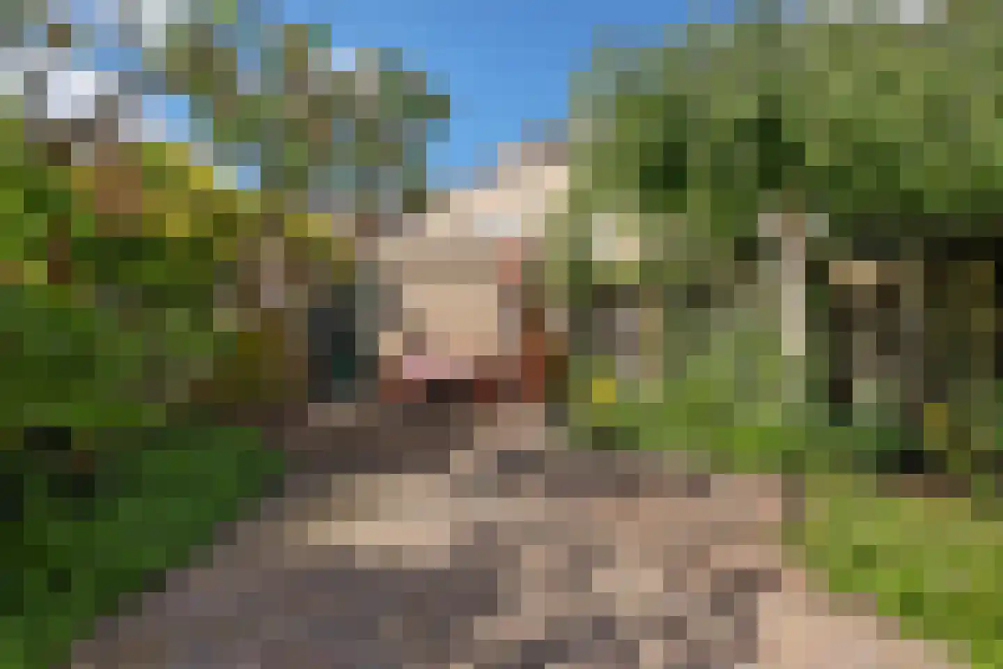 Punterhof 28 Lisse thumbnail 21