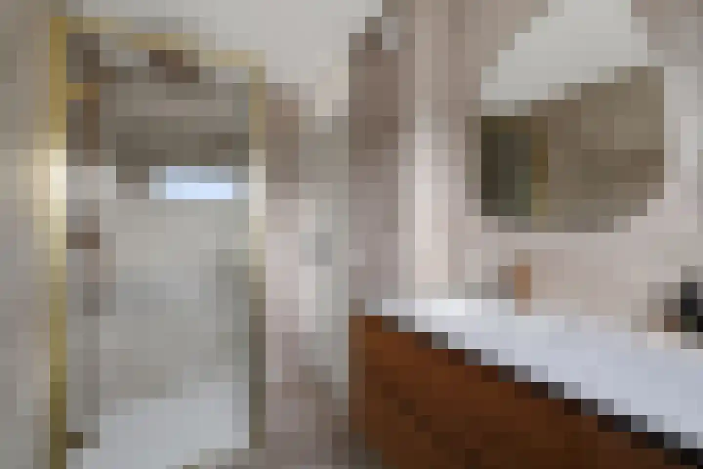 Punterhof 28 Lisse thumbnail 34