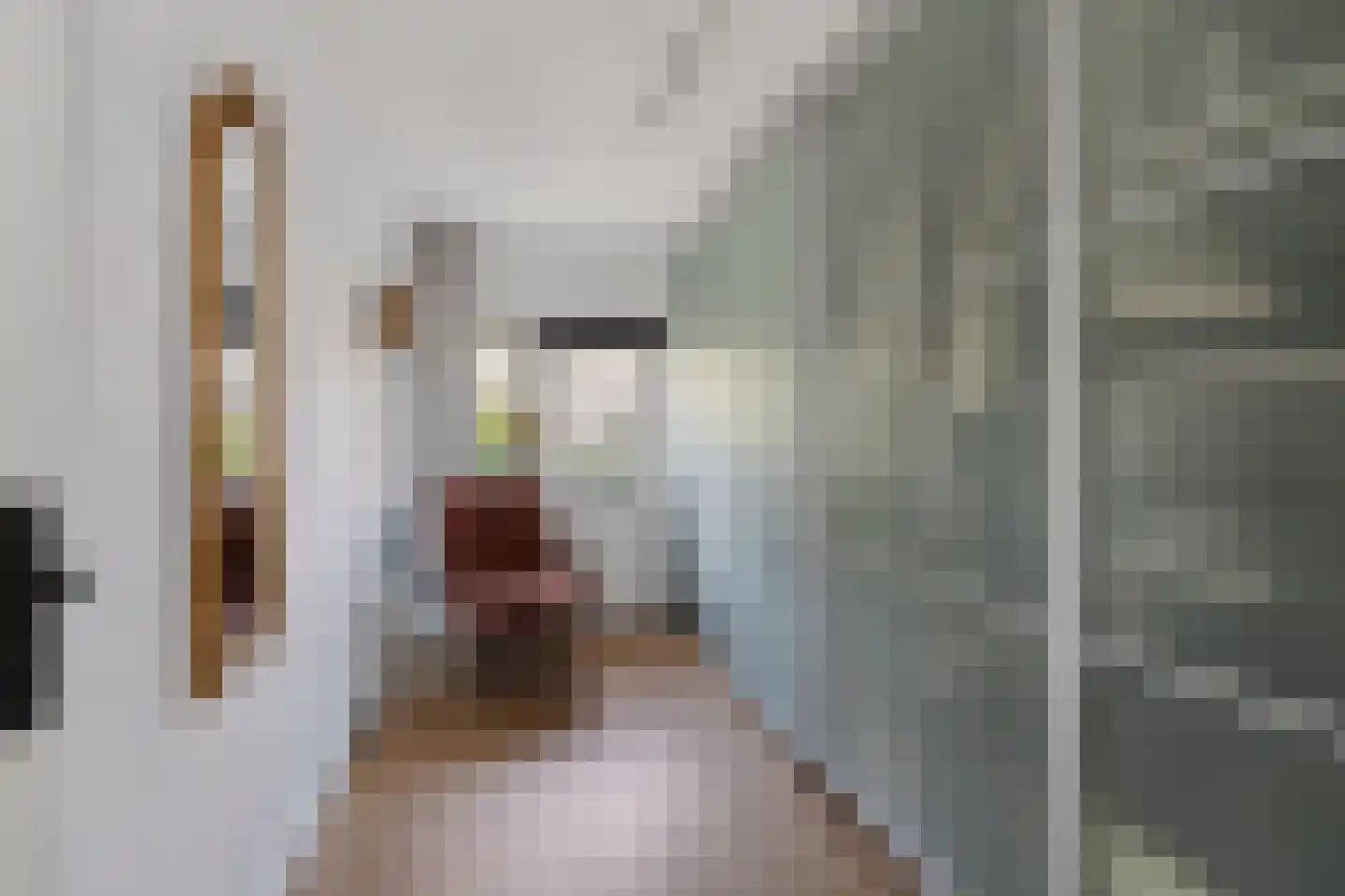Punterhof 28 Lisse thumbnail 37