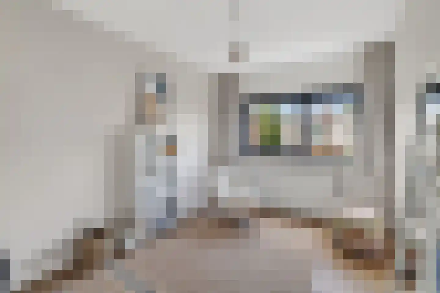 Punterhof 28 Lisse thumbnail 38