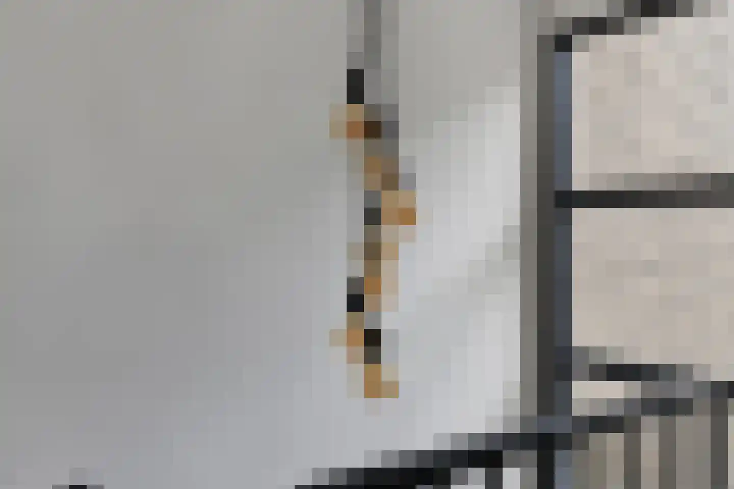 Punterhof 28 Lisse thumbnail 39