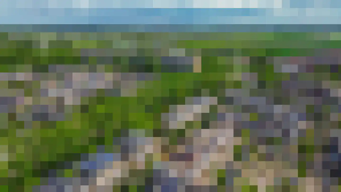 Punterhof 28 Lisse thumbnail 48