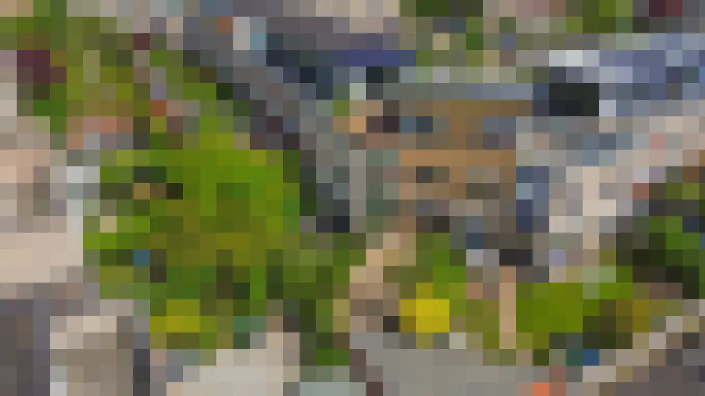Punterhof 28 Lisse thumbnail 53