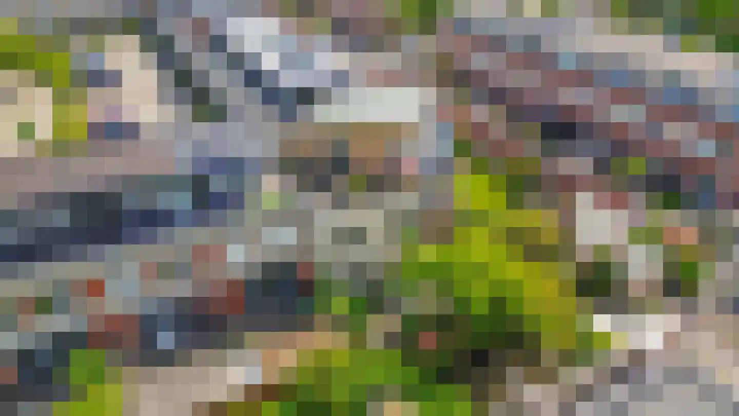 Punterhof 28 Lisse thumbnail 55