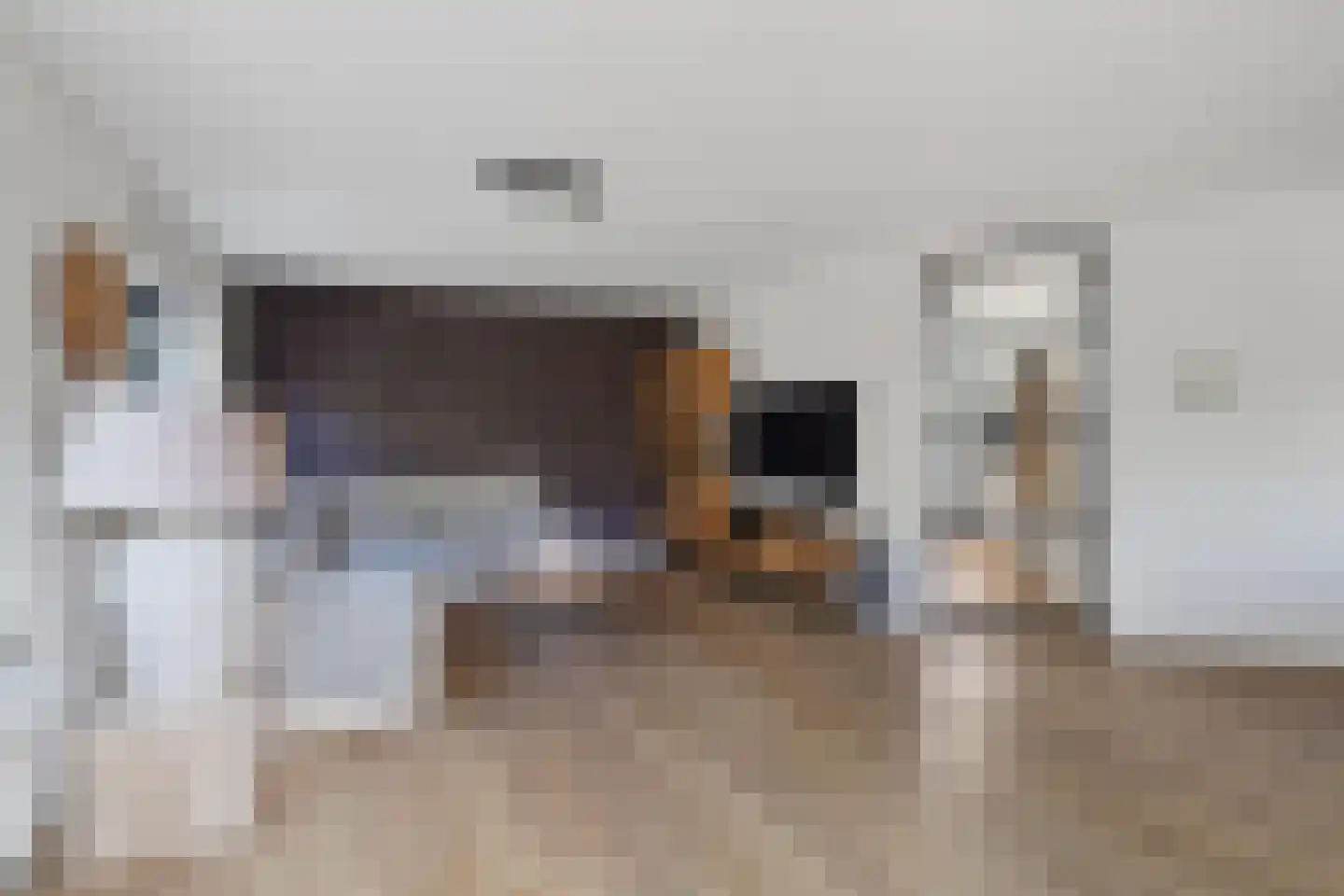 Punterhof 28 Lisse thumbnail 8