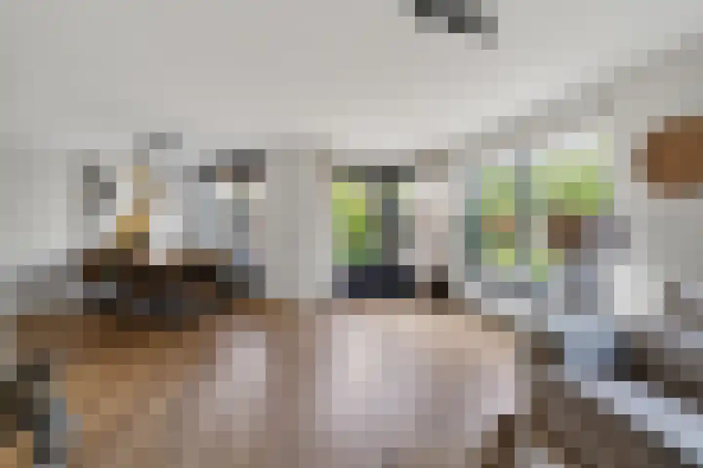 Punterhof 28 Lisse thumbnail 9