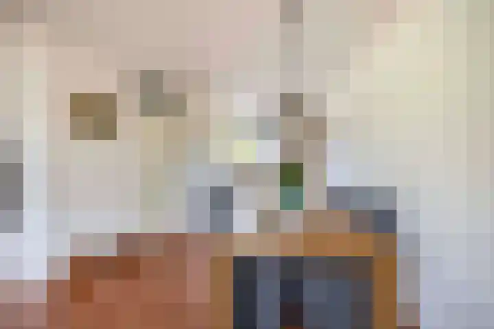 Punterhof 37 Lisse thumbnail 10