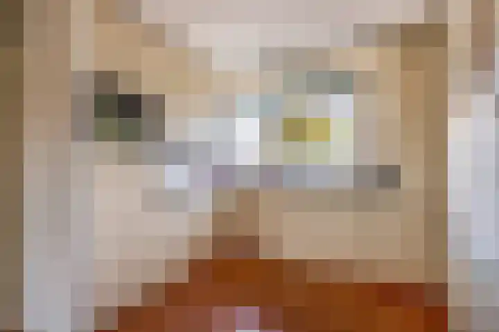 Punterhof 37 Lisse thumbnail 12