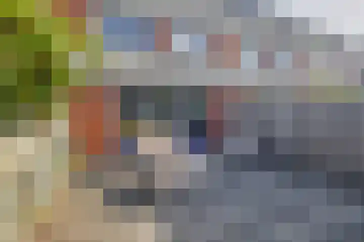 Punterhof 37 Lisse thumbnail 16