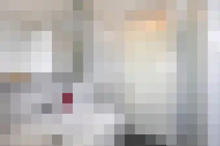 Punterhof 37 Lisse thumbnail 22