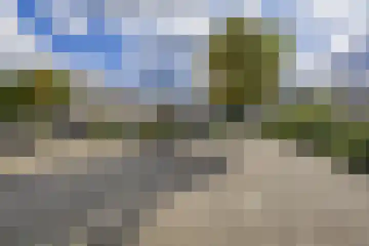 Punterhof 37 Lisse thumbnail 30