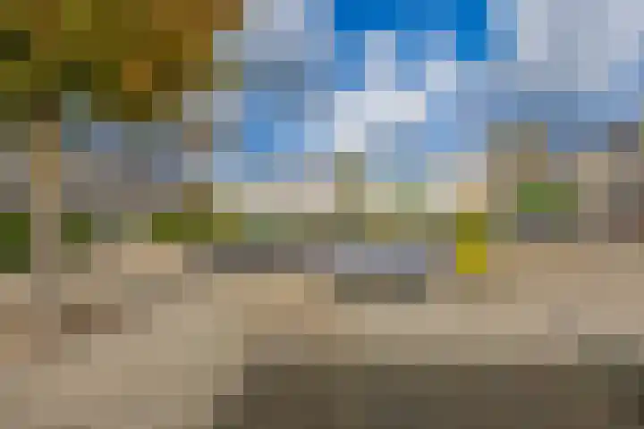 Punterhof 37 Lisse thumbnail 31