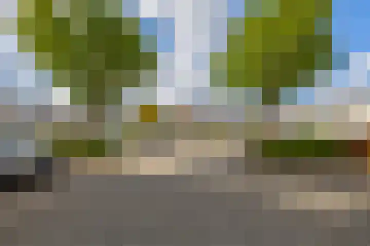 Punterhof 37 Lisse thumbnail 32