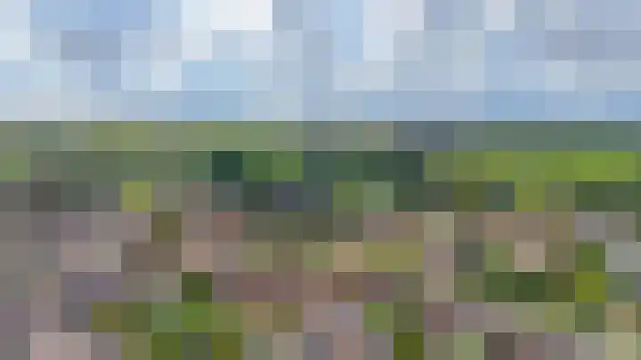 Punterhof 37 Lisse thumbnail 34