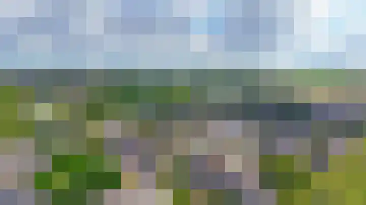 Punterhof 37 Lisse thumbnail 35