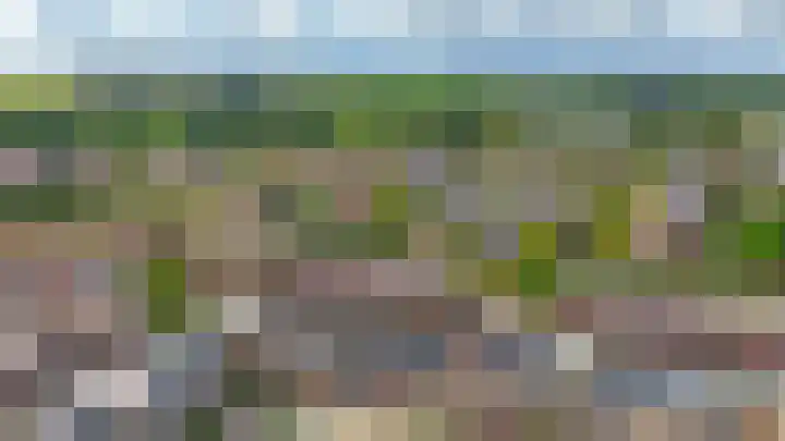 Punterhof 37 Lisse thumbnail 37