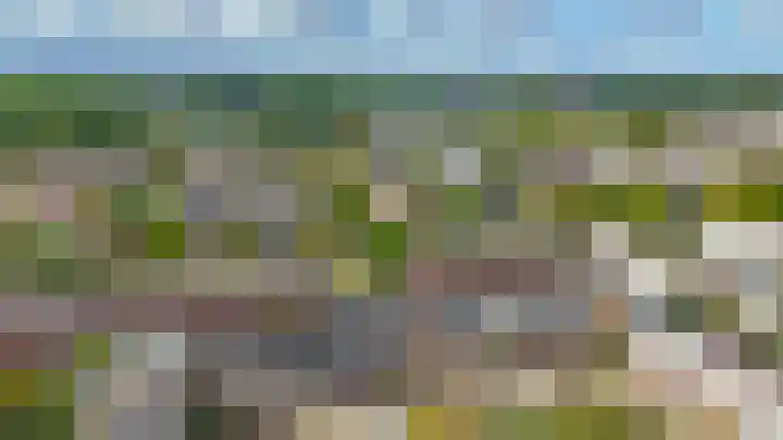 Punterhof 37 Lisse thumbnail 38