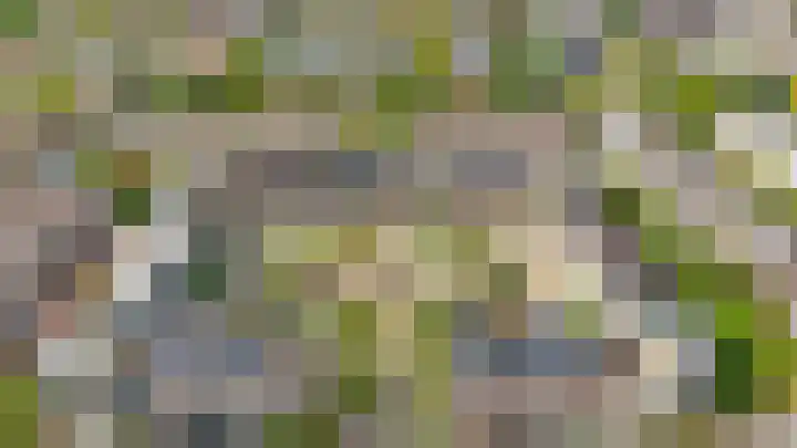 Punterhof 37 Lisse thumbnail 39