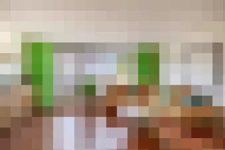 Punterhof 37 Lisse thumbnail 7