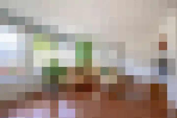 Punterhof 37 Lisse thumbnail 8