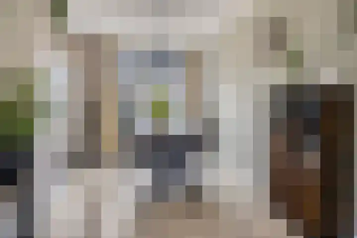 Punterstraat 17 Elburg thumbnail 11