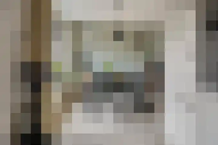 Punterstraat 17 Elburg thumbnail 12