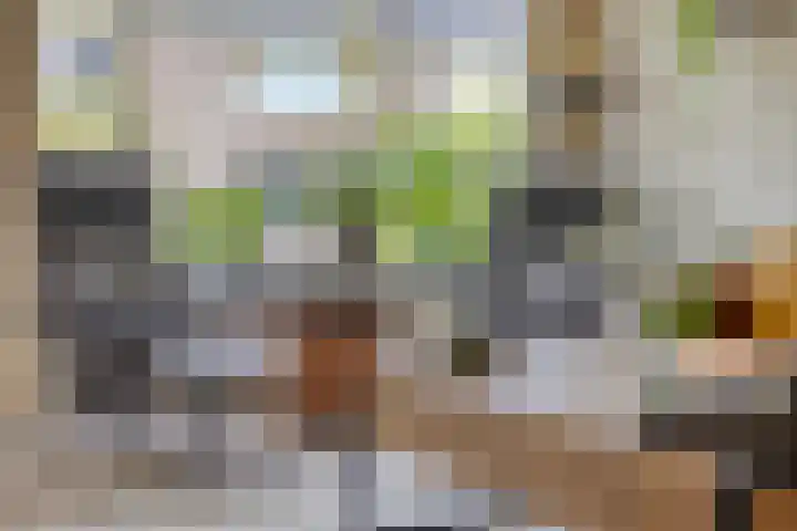 Punterstraat 17 Elburg thumbnail 17