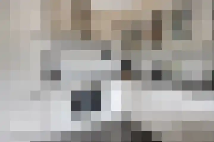 Punterstraat 17 Elburg thumbnail 21
