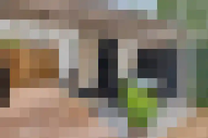 Punterstraat 17 Elburg thumbnail 38